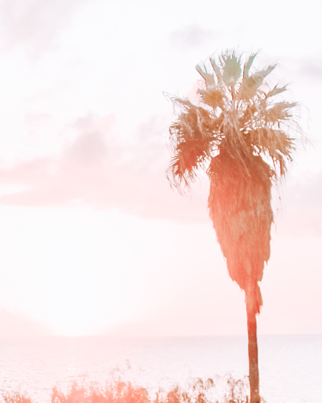 15 Things To Do Alone in Corpus Christi, TX Solo Travel in Corpus Christi