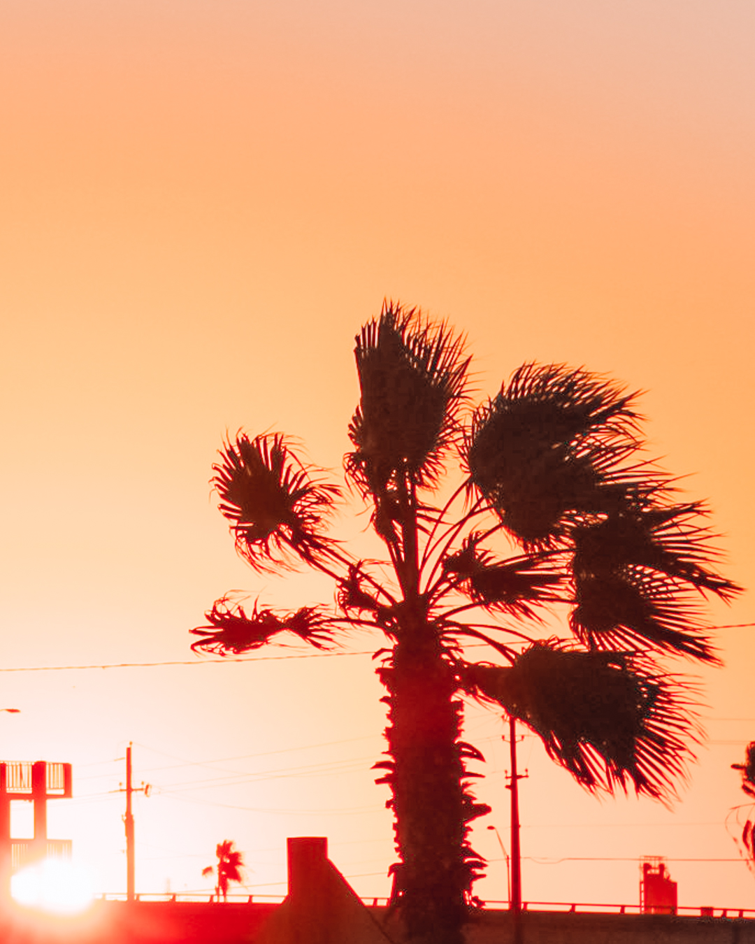 15 Things To Do Alone in Corpus Christi, TX Solo Travel in Corpus Christi